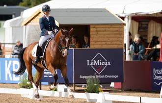 National Dressage Championships,Cheshire,Somerford Park Farm,dressage,family day out