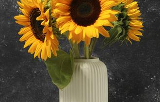 Sunflower family craft