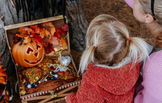 Blakemere's Halloween Pumpkin Trail