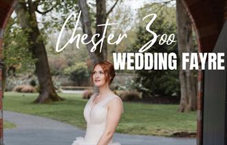 Chester Zoo Wedding Fayre