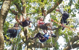 Tree Climbing,capesthorne hall,cheshire