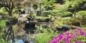 Japanese Gardens at Tatton Park