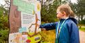 Stick Man,Adventure Activity Trail,Delamere Forest,Family Fun,Outdoors