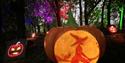 Carved Pumpkin lantern