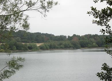 Astbury Mere Country Park