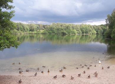 Brereton Heath Local Nature Reserve