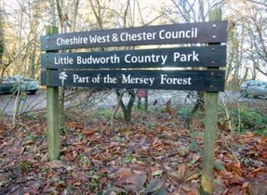 Magical Woodland - Visit Cheshire