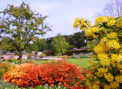 Summer at Ness Botanic Gardens