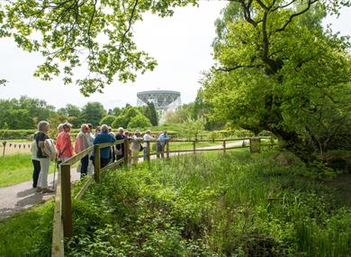 Jodrell Bank for Groups