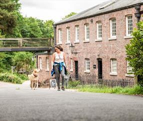 Bring your pooch on a Cheshire adventure!