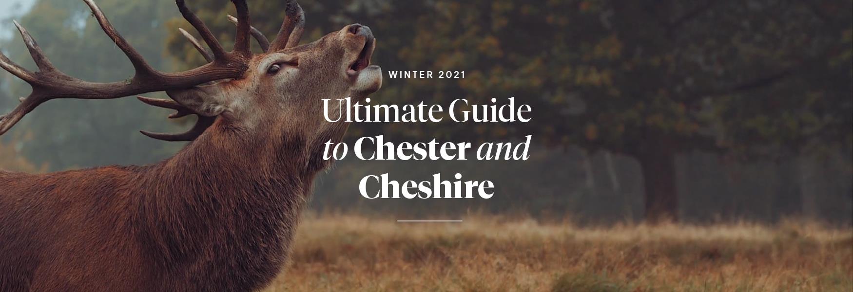 The Ultimate Guide to Chester & Cheshire