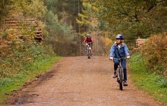 Cycling in Delamere Forest