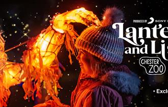 Chester Zoo,illuminatoins,light,trail,christmas,glowing tunnels,father christmas,family event,family fun