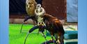 Meet Eagles and Owls at Cheshire Falconry