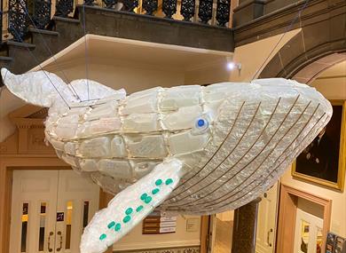 2021 Climate Change Whale at Grosvenor Museum