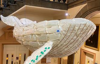 2021 Climate Change Whale at Grosvenor Museum