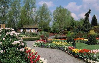 Bridgemere Gardens