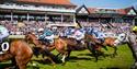 Horse racing at Chester Racecourse