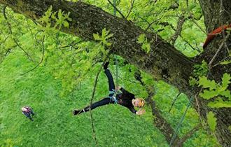 Discover Tree Climbing