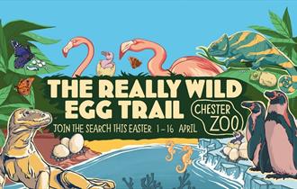The Really Wild Egg Trail