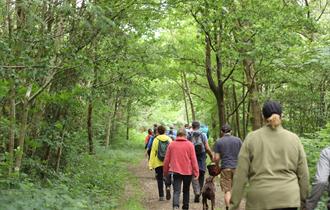 Foraging,cookery course,wild,nature,teggs nose country park