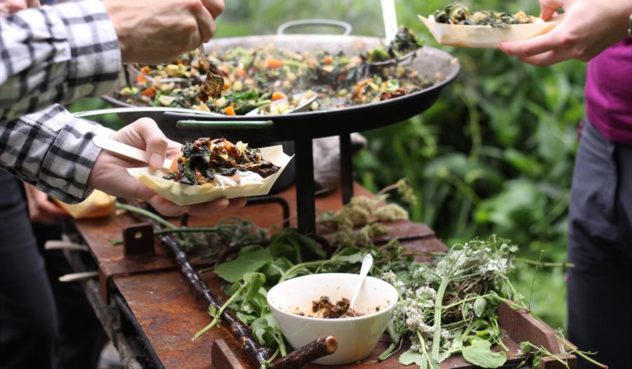 Foraging,cookery course,nature,wild,falvours,delamere forest