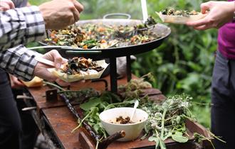 Foraging,cookery course,nature,wild,falvours,delamere forest