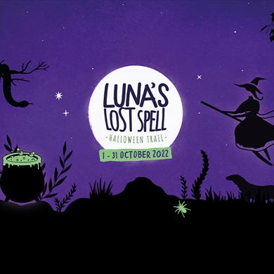 Luna’s lost spell: Halloween trail