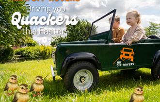 Mini Off-Rovers - Driving You Quackers!