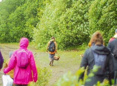 foraging,cookery course,wild,nature,flavours,anderton boat lift,grassland,waterways