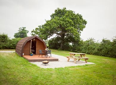 Glamping Pod at Pitch & Canvas