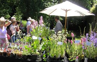 Summer Plant Hunters Fair at Capesthorne Hall & Gardens