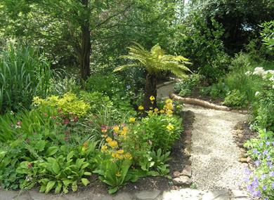 stonyford cottage gardens