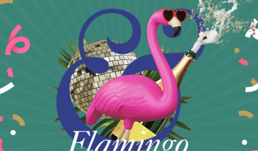 Flamingo bingo,bingo,fun,slug and lettuce,chester