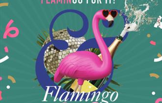 Flamingo bingo,bingo,fun,slug and lettuce,chester
