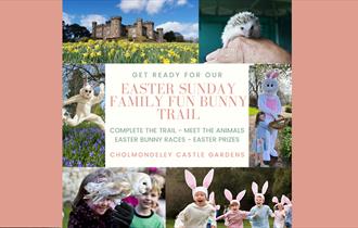 Easter Sunday Family Bunny Hunt