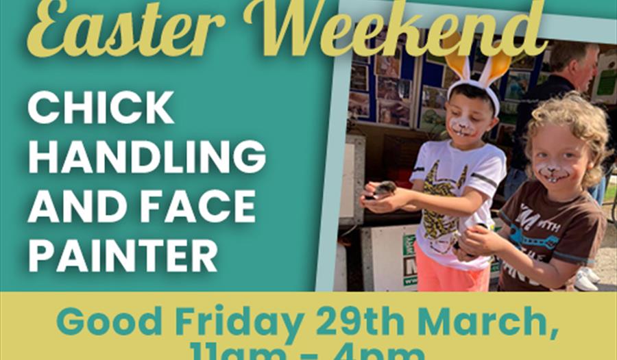 Chick handling and Face Painting at Blakemere Village