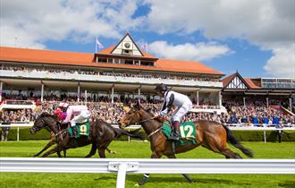 Race fixtures throughout the year at Chester Racecourse
