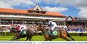 Race fixtures throughout the year at Chester Racecourse