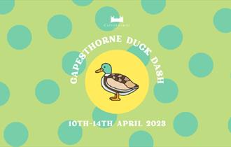 Capesthorne Duck Dash