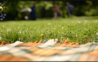 Picnic blanket spread over grass