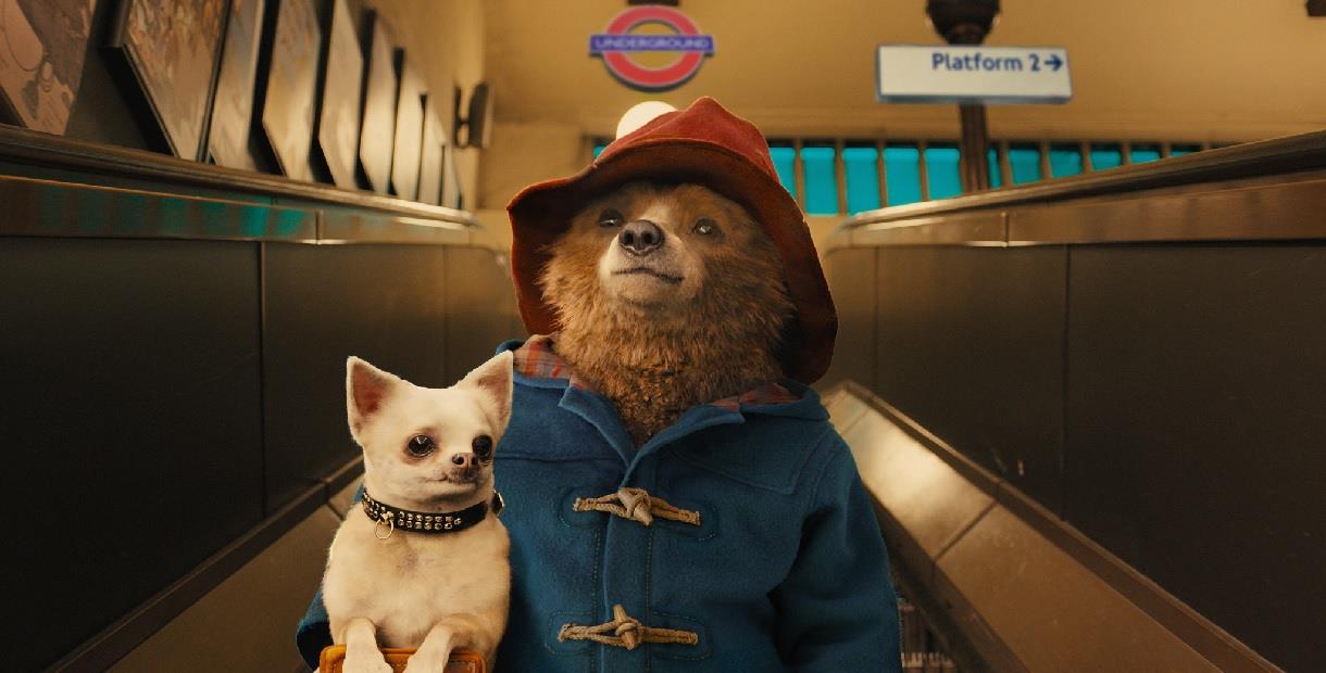 Paddington carrying a chihuahua on the London underground