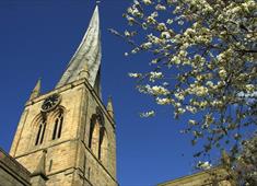 Crooked Spire and white blossom