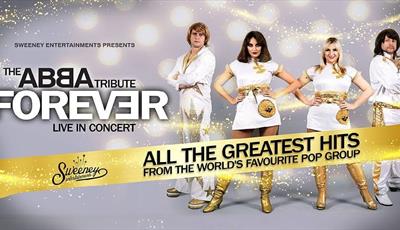 ABBA Forever Tribute live in concert