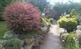 Relax in the garden at Acorns Guest House