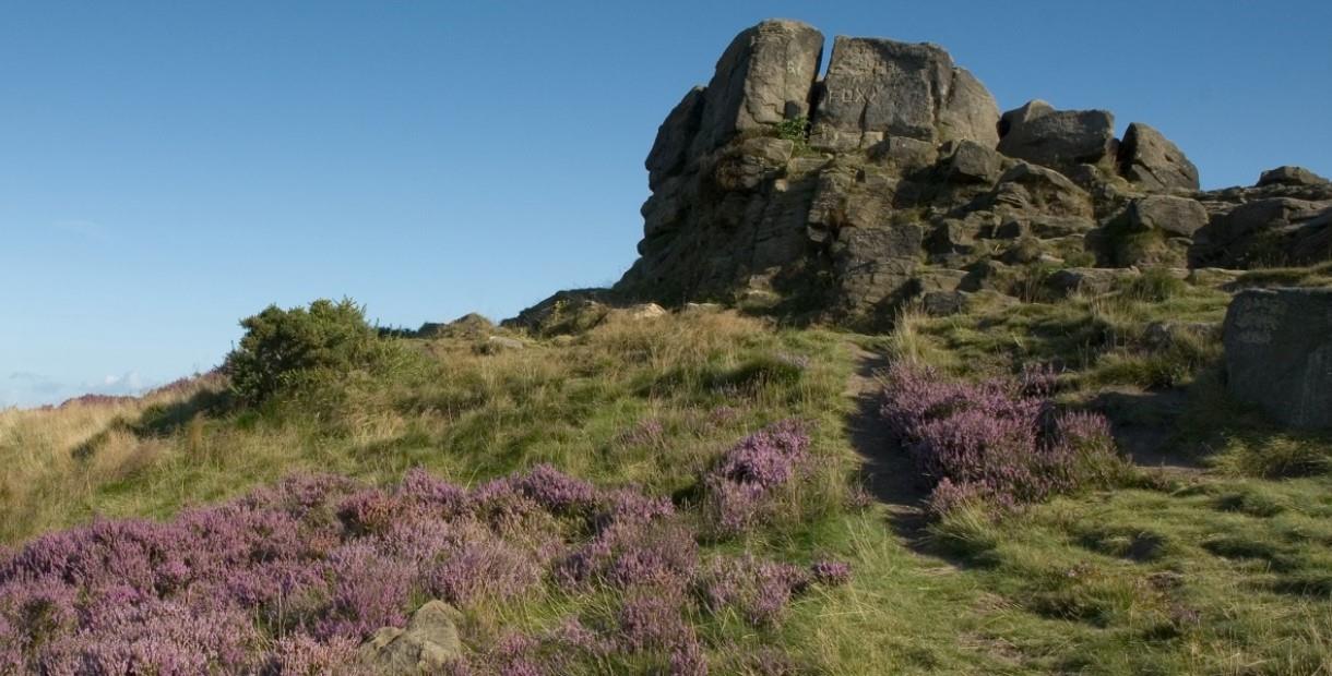 Heather and rock formations in Ashover Heathlands