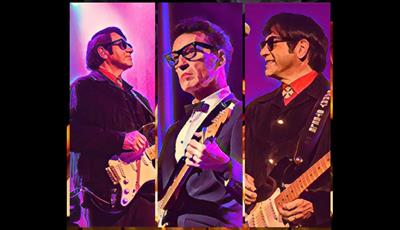 Graphic of Barry Steele and Friends as Roy Orbison, Buddy Holly and The Travelling Wilburys