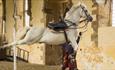 White horse airborne without a rider in the Riding Stables at Bolsover Castle
