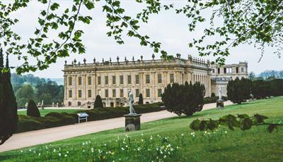 Chatsworth in Spring with daffodils in the foreground