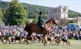 Hounds at Chatsworth country fair